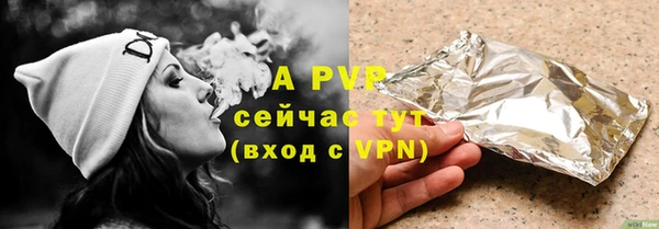 a pvp Новозыбков