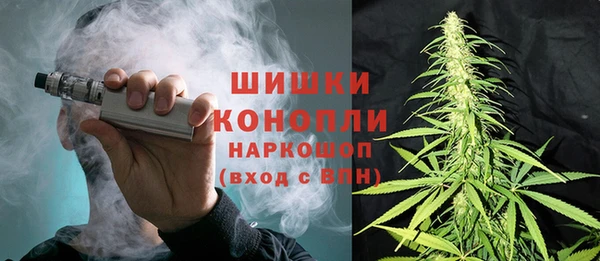 ешки Алексин